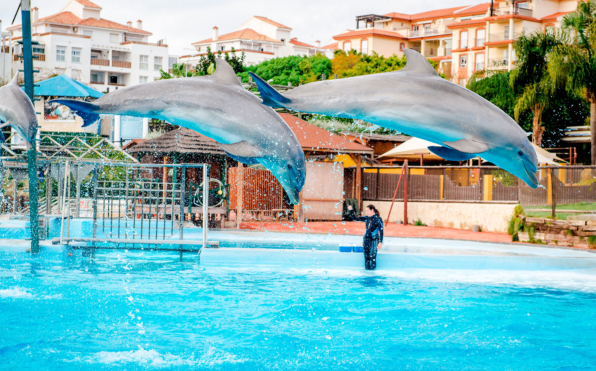 The Beach Club Higuerón - Planes Que no Debes Perder en Benalmádena